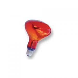 Infra Red Bulb